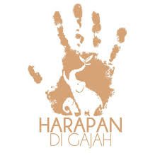 Apérophonie – Les éléphants de&nbsp;Sumatra