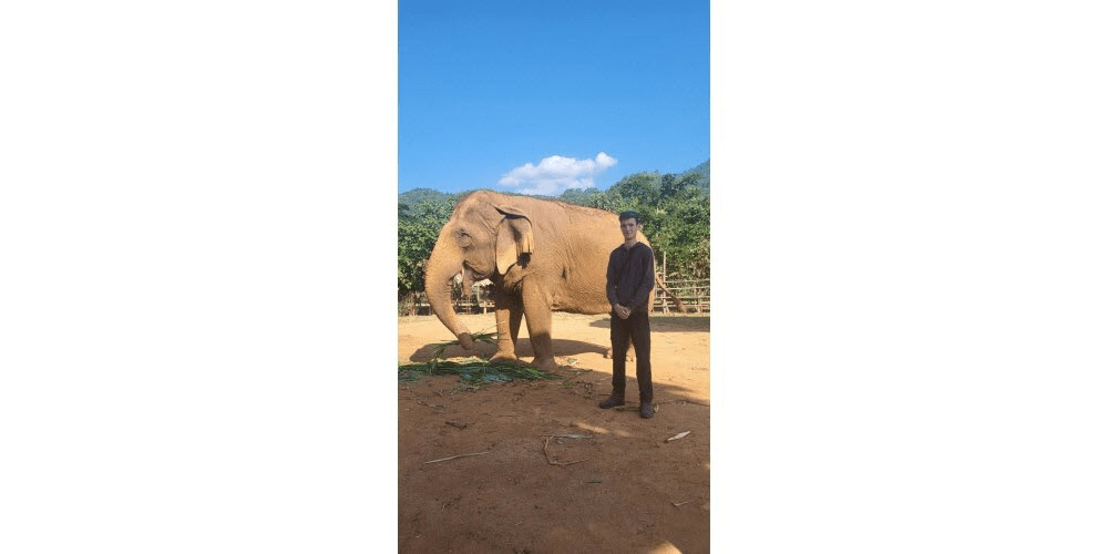 Robin Comito poursuit son projet de sauvegarde des&nbsp;éléphants