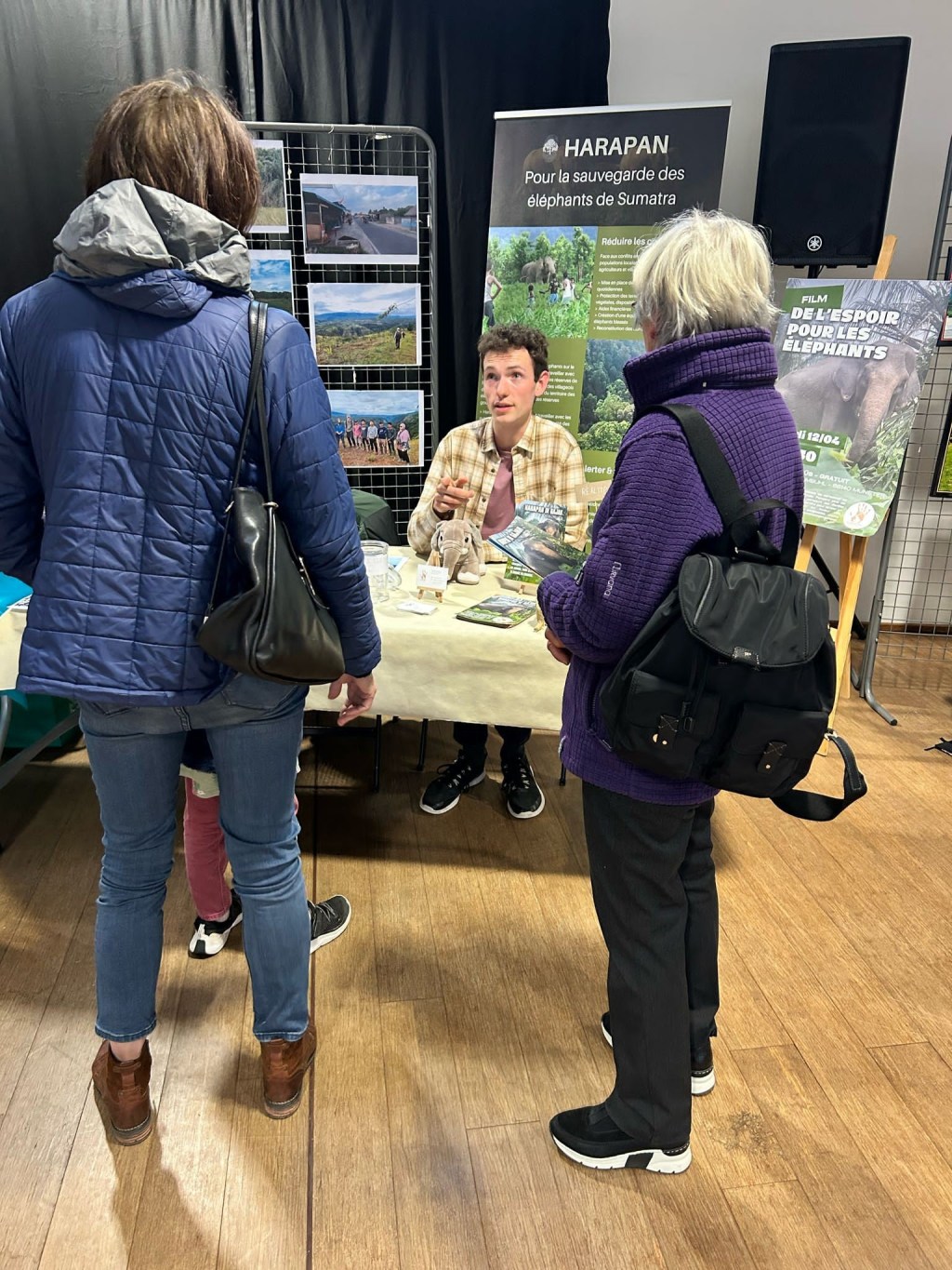 DES ÉLÉPHANTS EN&nbsp;FESTIVAL