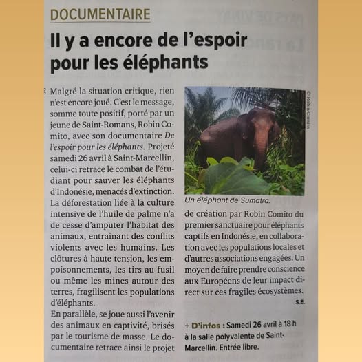 Il y a encore de l&rsquo;Espoir pour les&nbsp;éléphants