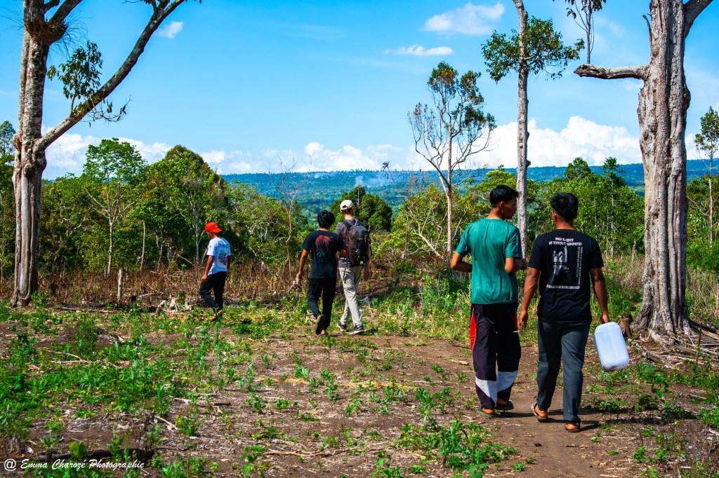 Les éléphants et les humains se protègent mutuellement : le pari réussi de l’association Harapan di Gajah 