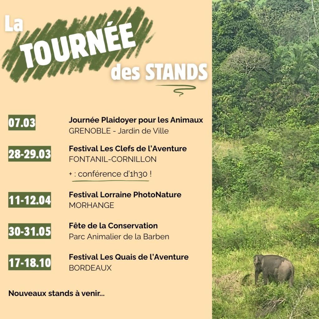 La Tournée des Stands !