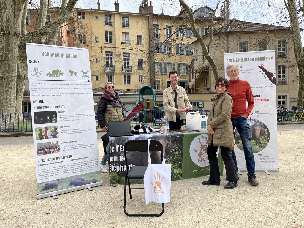 UNE BELLE JOURNÉE À GRENOBLE